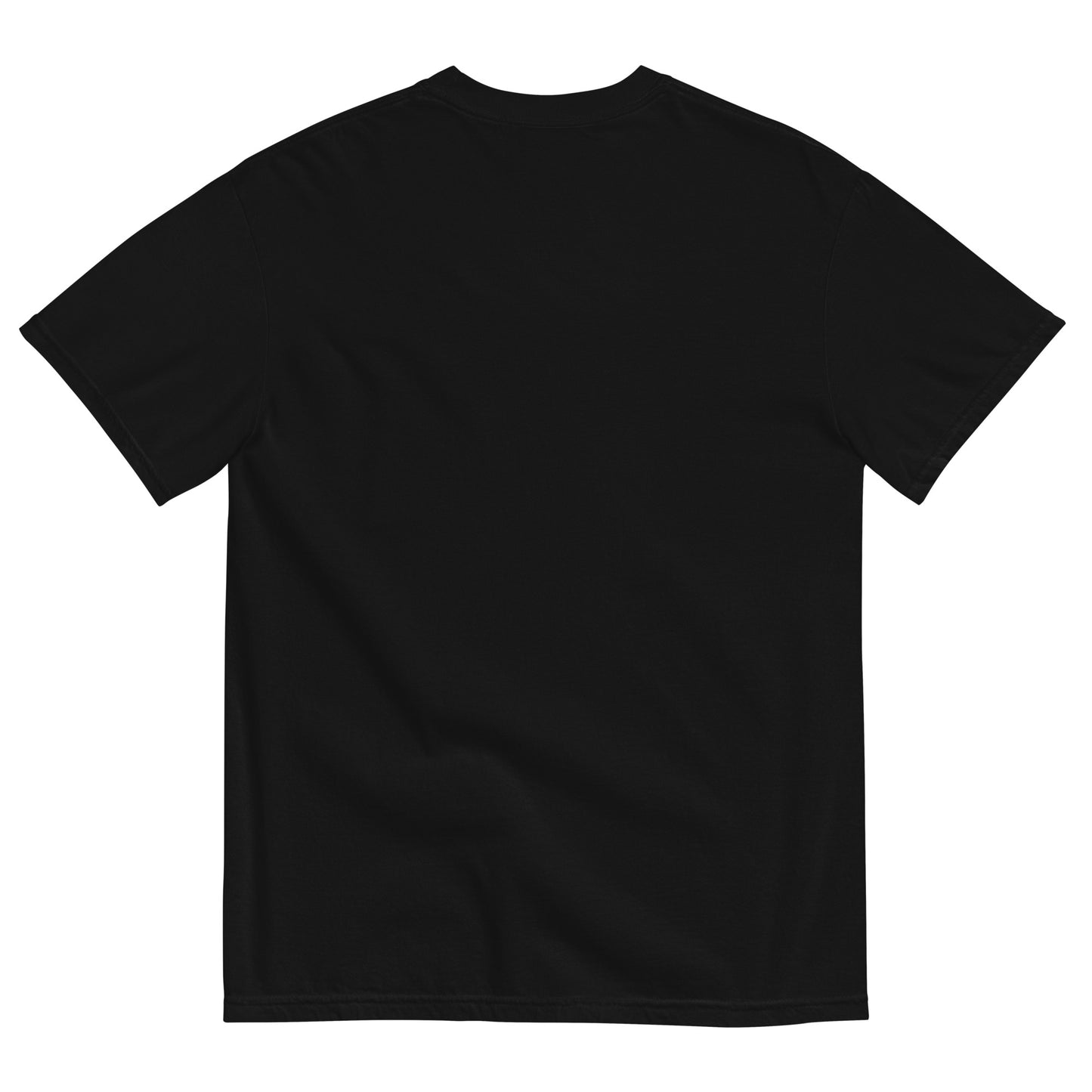Liberty Crown USA Since 1776 Unisex Garment-Dyed Tee
